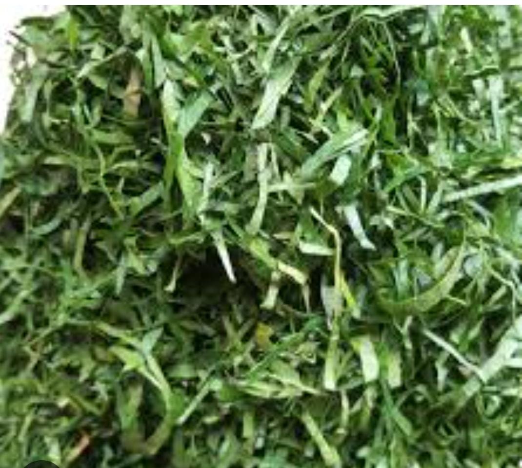 fresh Afang leaves